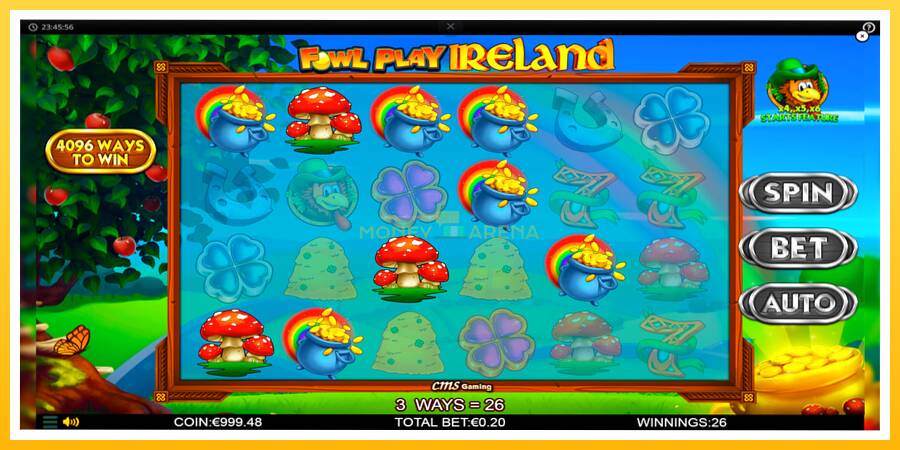 Kuva 3 pelikone Fowl Play Ireland