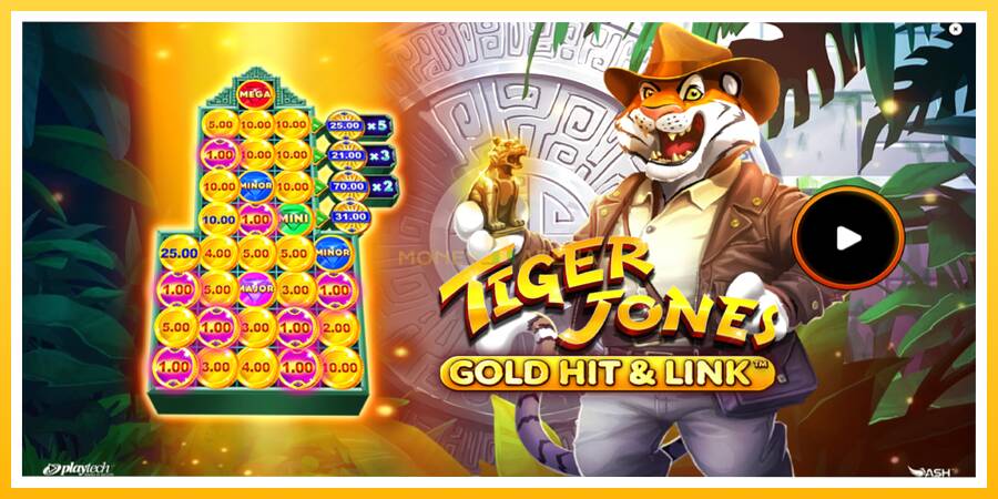 Kuva 1 pelikone Gold Hit & Link: Tiger Jones