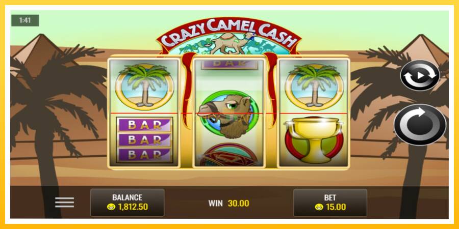 Kuva 3 pelikone Crazy Camel Cash