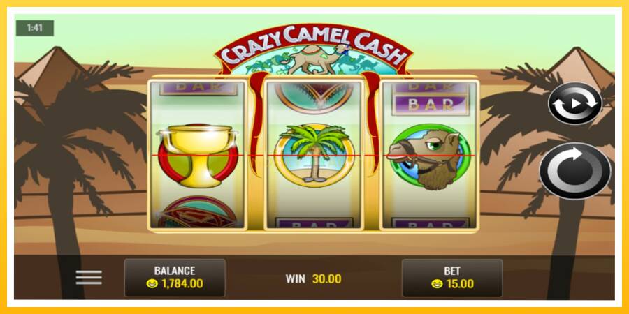 Kuva 4 pelikone Crazy Camel Cash