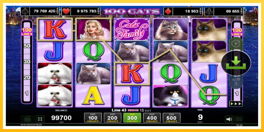 Kuva 2 pelikone 100 Cats